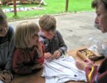 img_0229.jpg