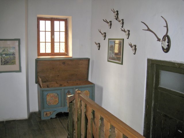 img_0667.jpg