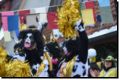 dsc_6104.jpg
